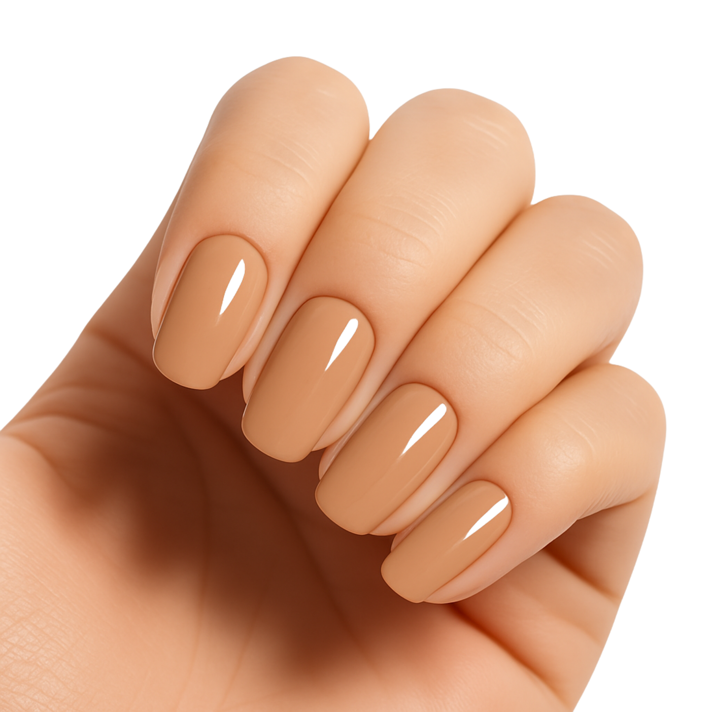 Alicia’s Poly Gel – Multi-Color Collection
